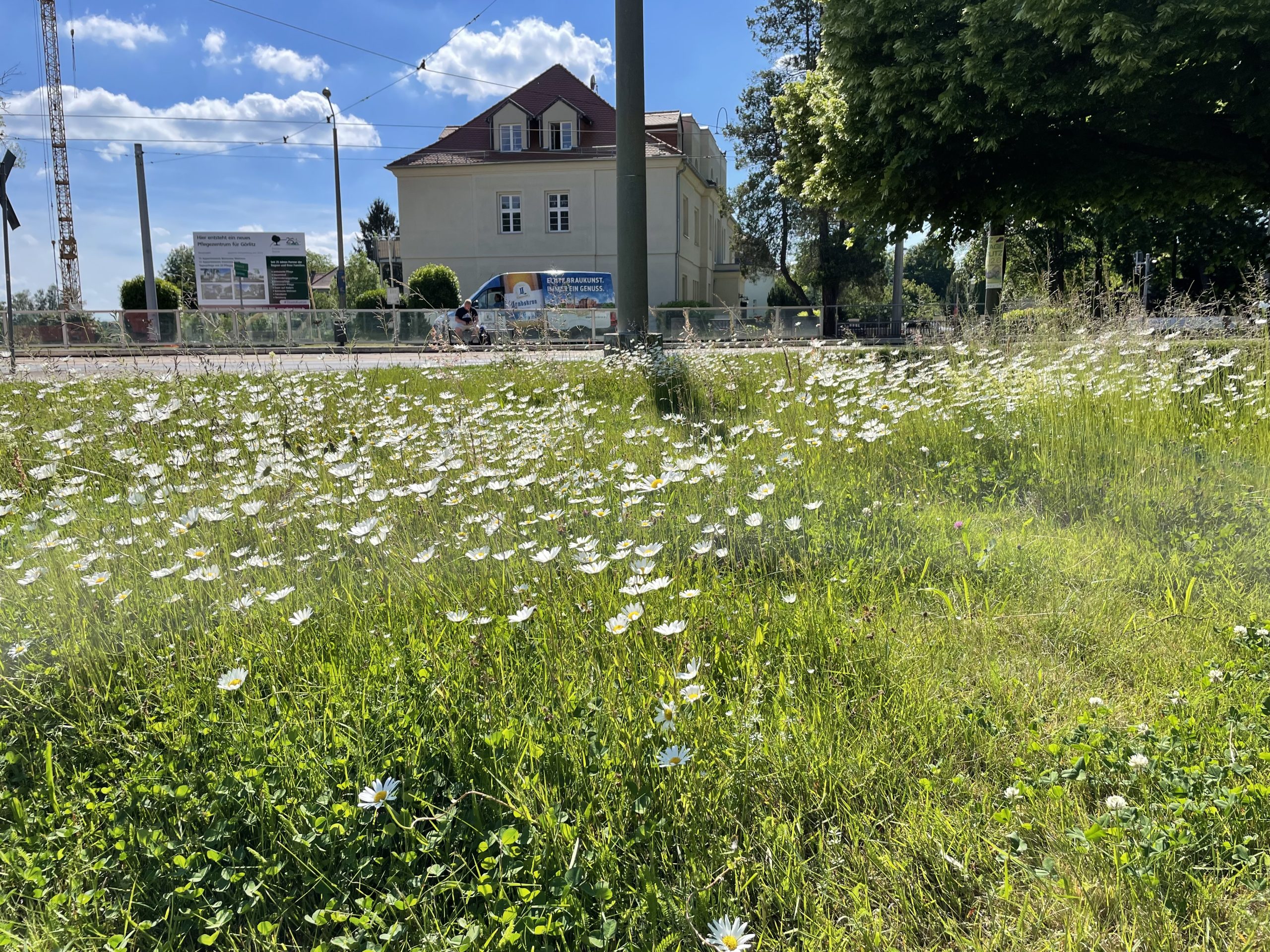 Kommunale Wiesen