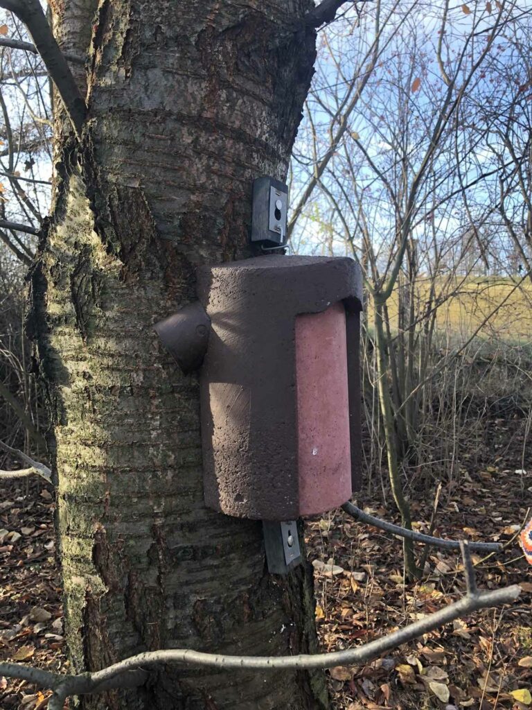 Spezialnistkasten für den Baumläufer