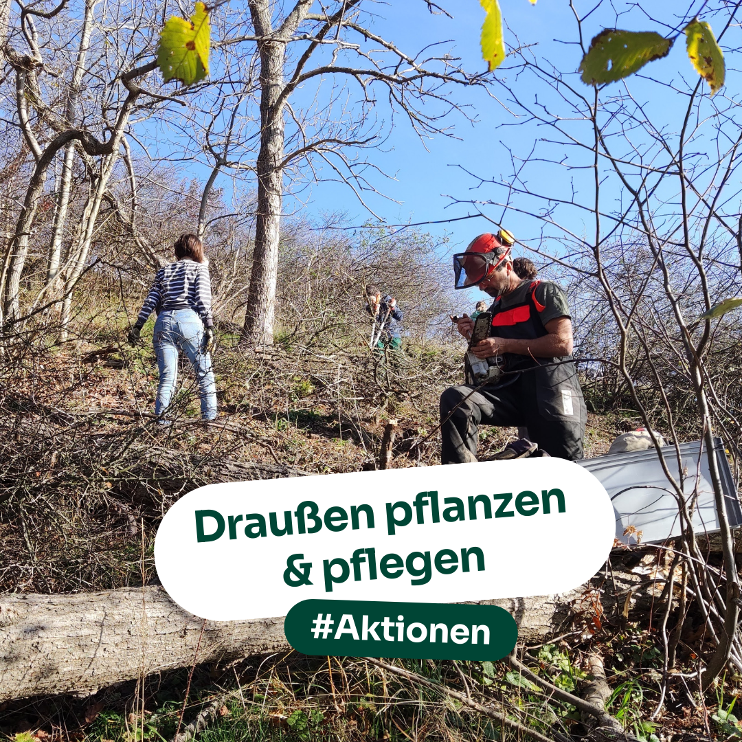 Aktionen