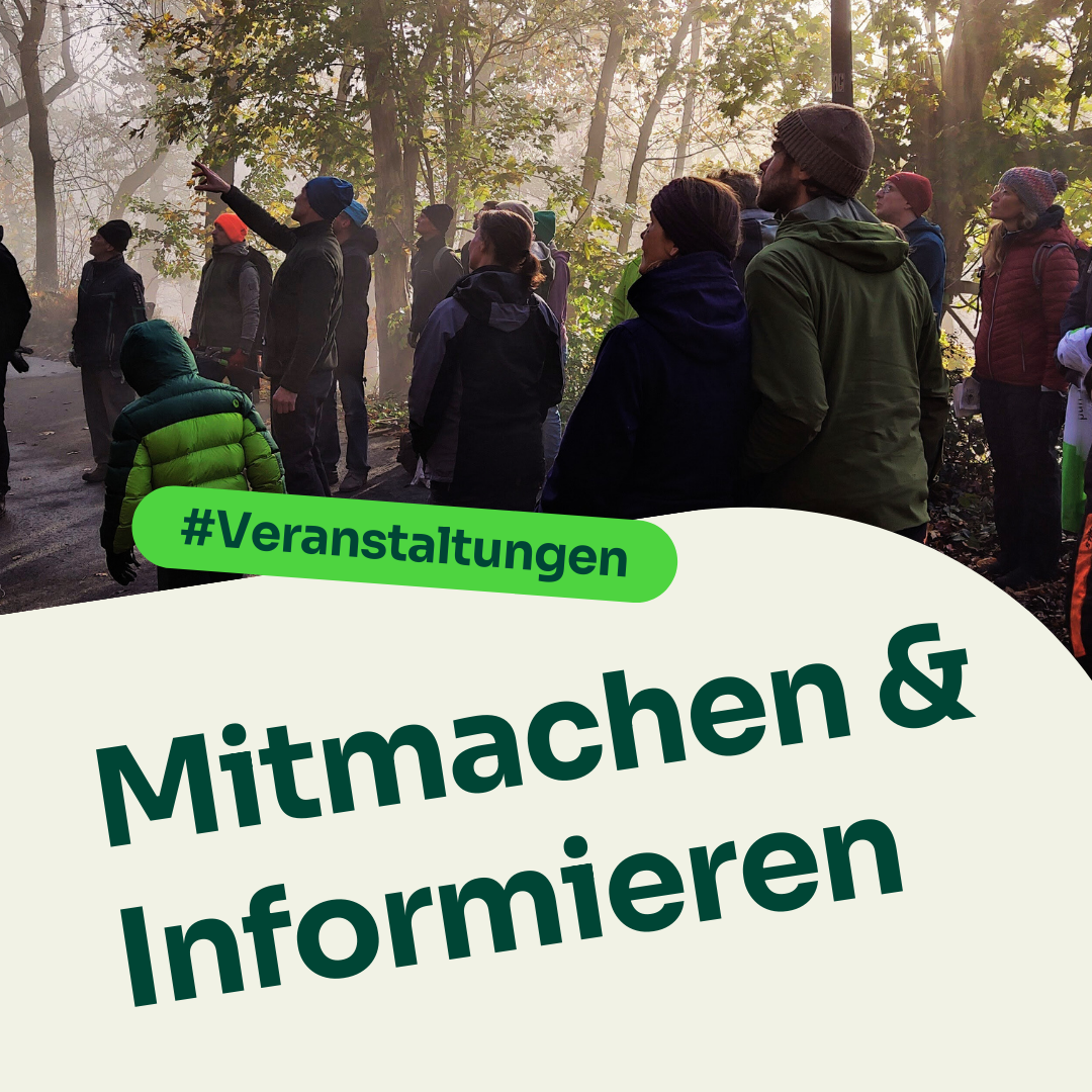 Veranstaltungen