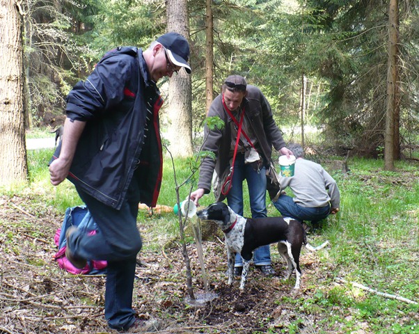Wanderung zum Tag des Baumes 2011
