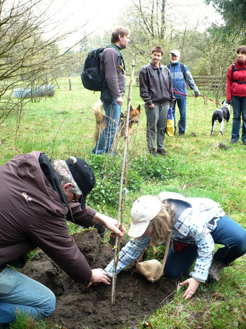 Wanderung zum Tag des Baumes 2013