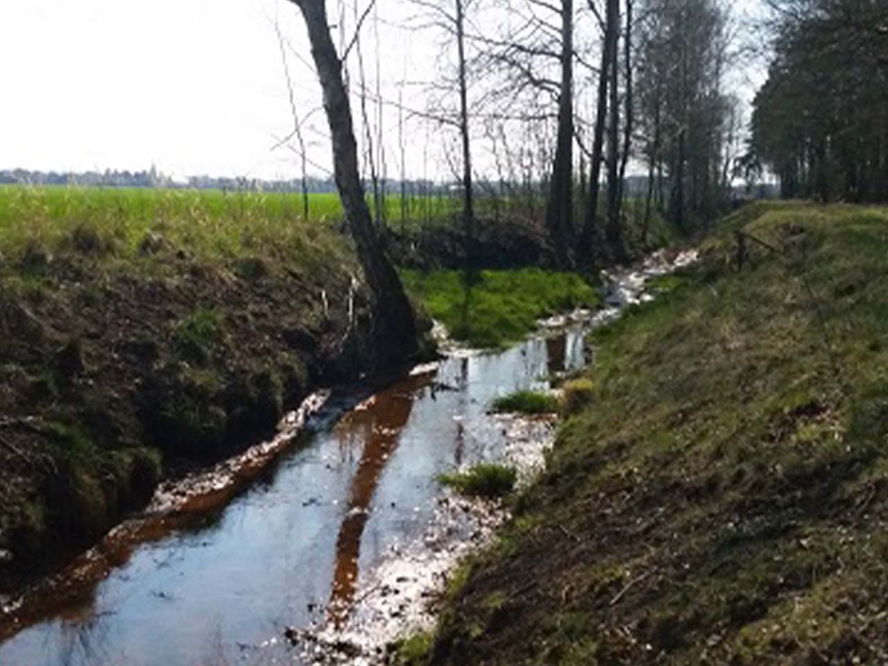 Quellgebiet und Oberlauf des Ruhlander Schwarzwassers renaturieren und als Schutzgebiet ausweisen